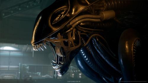 Xenomorph