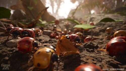 Herd of Ladybugs