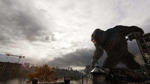 Kong Hunting